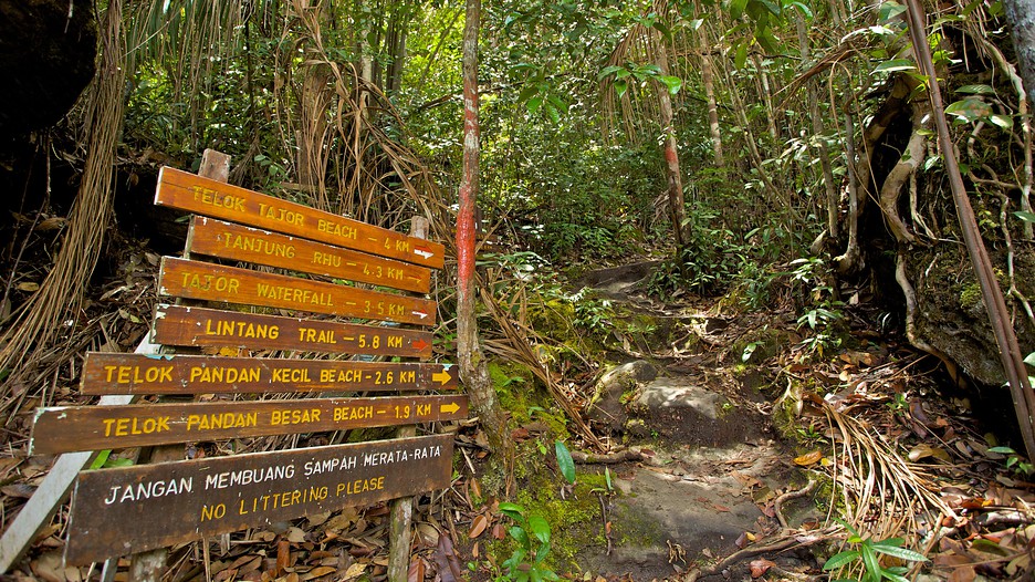 Bako National Park - Kuching - Tourism